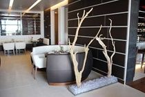 Eastern Mangroves Suites By Jannah